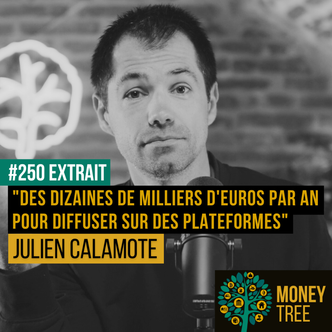 "Des dizaines de milliers d'euros par an pour diffuser sur des plateformes d'annonces." [Extrait Capsule]