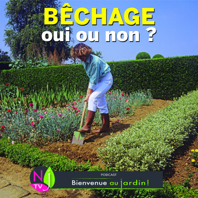PAROLES D'EXPERTS: BÊCHAGE OUI OU NON ? cover