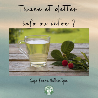 Tisane et dattes : info ou intox ? QSF61 cover