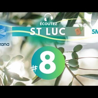 #8 Evangile de St Luc chap 6 • Versets 39-49 à chap 7 • Versets 1-15 | Méditation audio #podcast cover