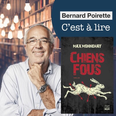 228. "Chiens fous" de Max Monnehay cover
