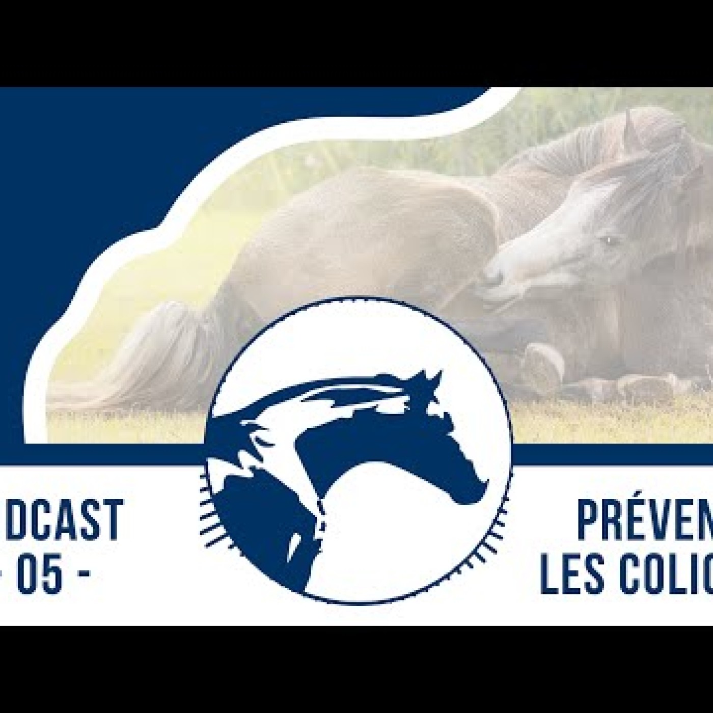 Podcasts vétos Reverdy Nutrition Équine 🎙