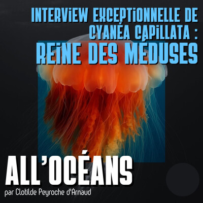 Interview exceptionnelle de Cyanéa Capillata : Reine des Méduses cover