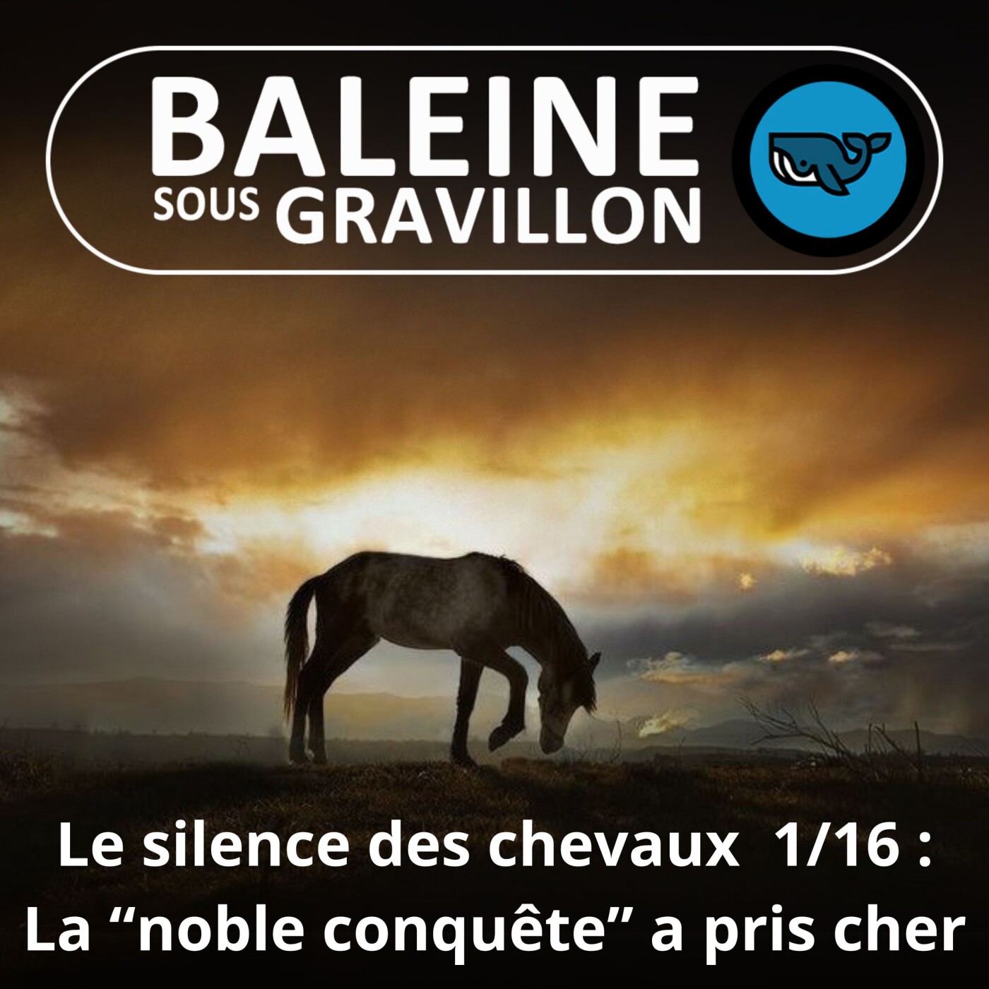 S06E35 Le Silence des chevaux 1/16 : La "plus noble conquête de l'homme"... a pris cher