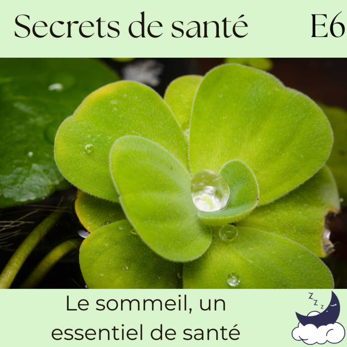 Prendre soin de l\'être, le podcast pour cultiver la santé holistique jour après jour