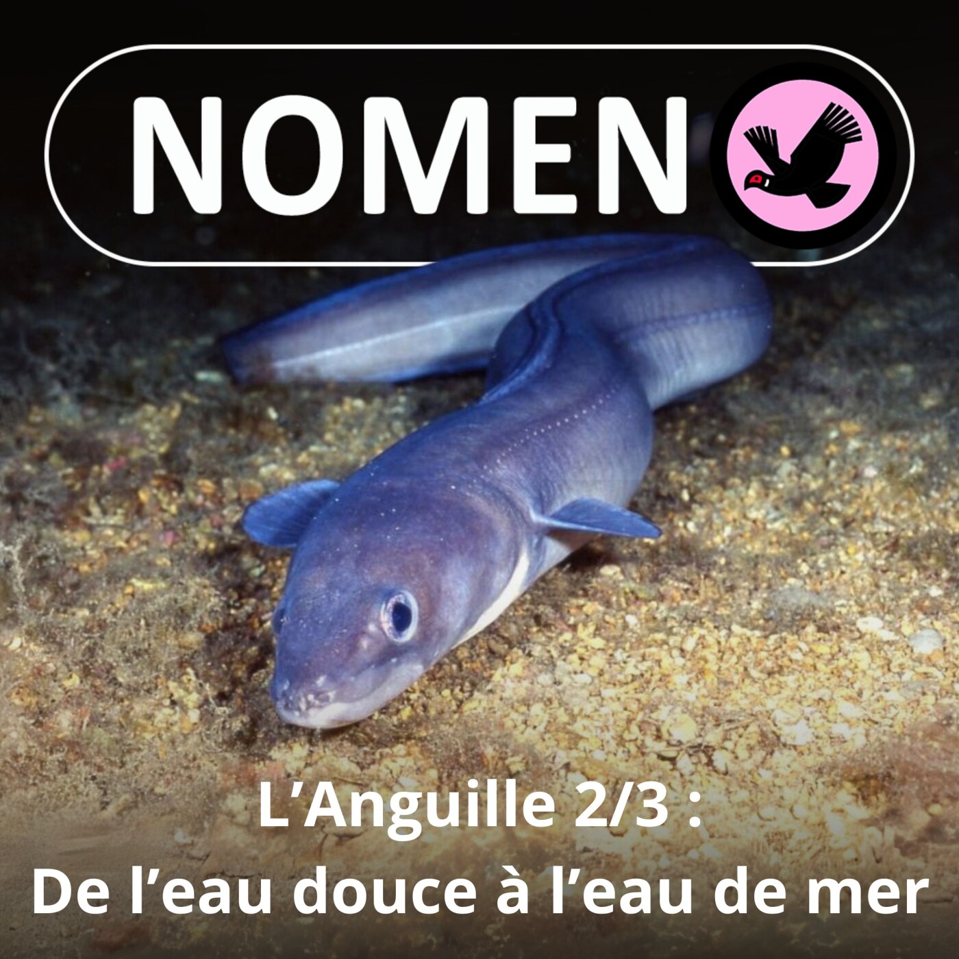 Nomen