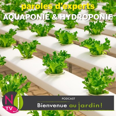 PAROLES D'EXPERTS: AQUAPONIE ET HYDROPONIE. cover