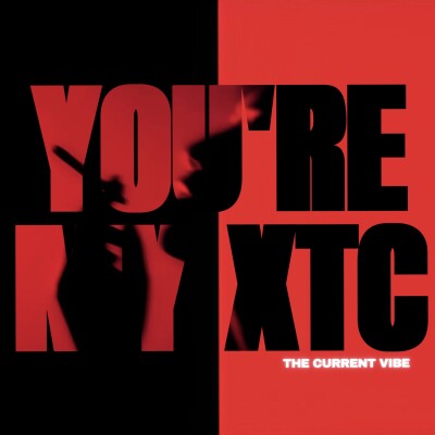 YOU'RE MY XTC cover