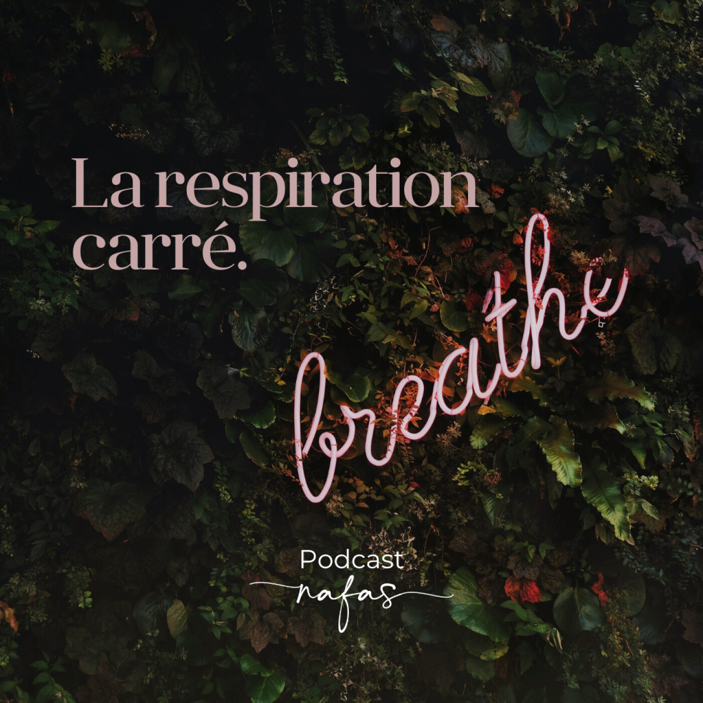 Se concentrer avec la respiration carré episode artwork