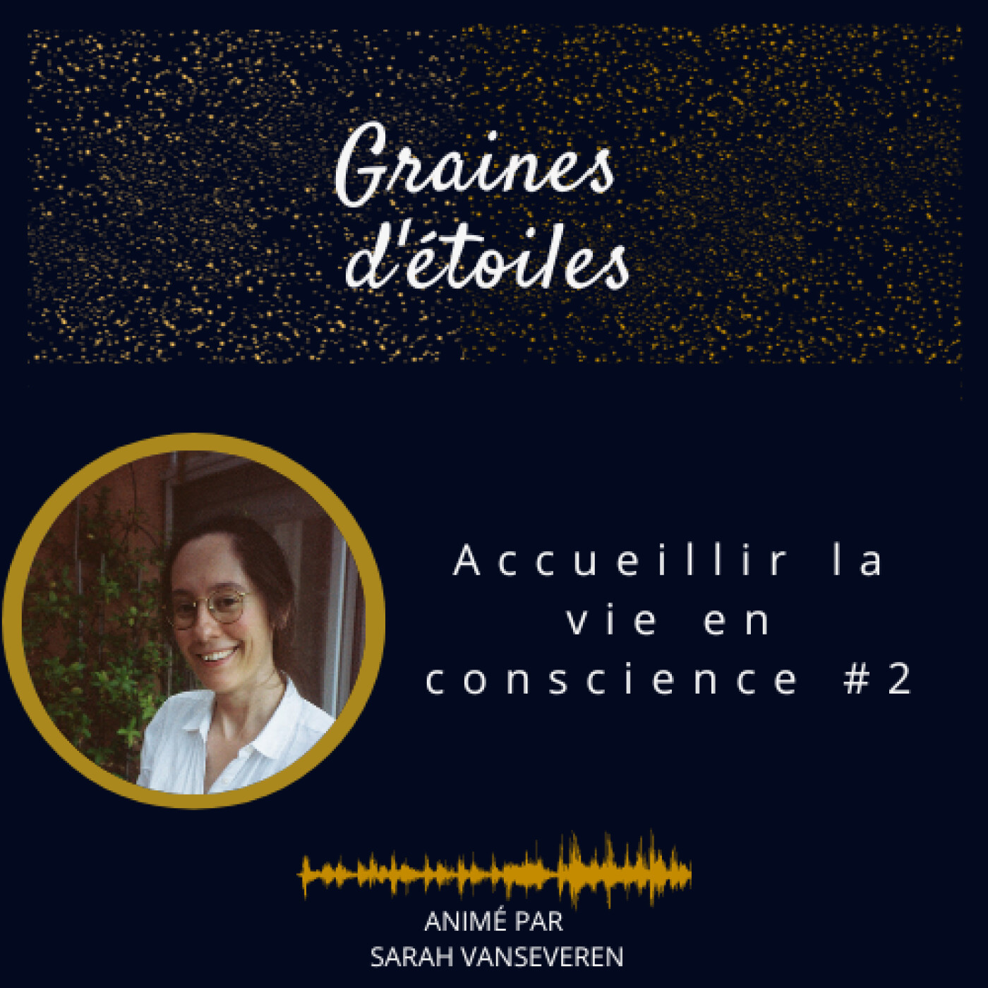 Graines d\'étoiles - la conscience au quotidien