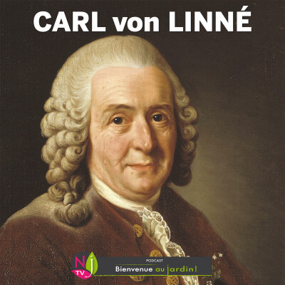 HISTOIRES BOTANIQUES: CARL VON LINNÉ, L’HOMME QUI A NOMMÉ ET CLASSÉ LE MONDE VIVANT cover