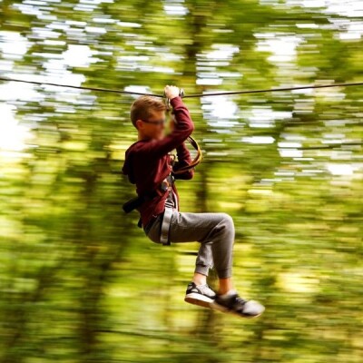 Dans les arbres à toute berzingue ! cover