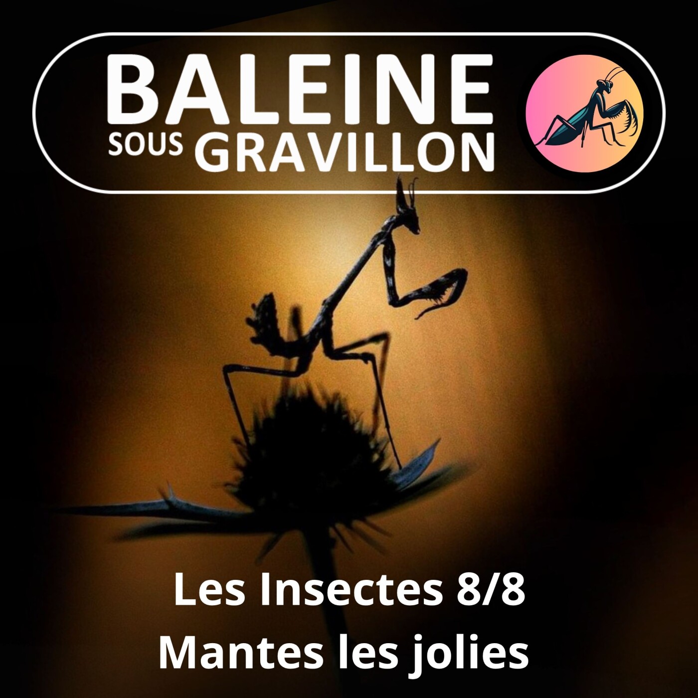 S02E93 Les Insectes 8/8 : Mantes-les-jolies episode artwork