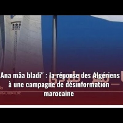 Le Maroc, Israël et #مانيش_راضيDz" : incroyable déni de réalité et dangereuse irresponsabilité cover