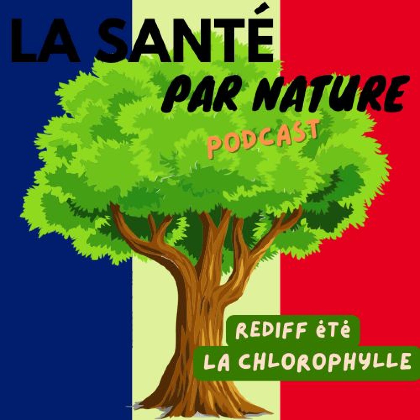 REDIFF ÉTÉ (#13) - Les incroyables bienfaits de la chlorophylle pour la santé episode artwork