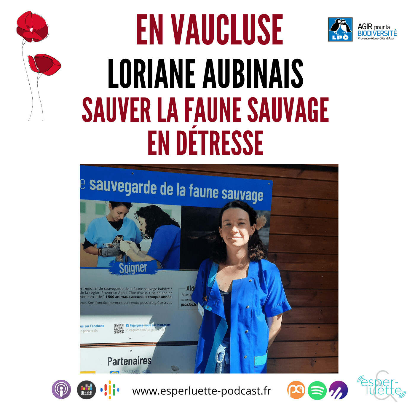 Esperluette, à l\'écoute du Vaucluse