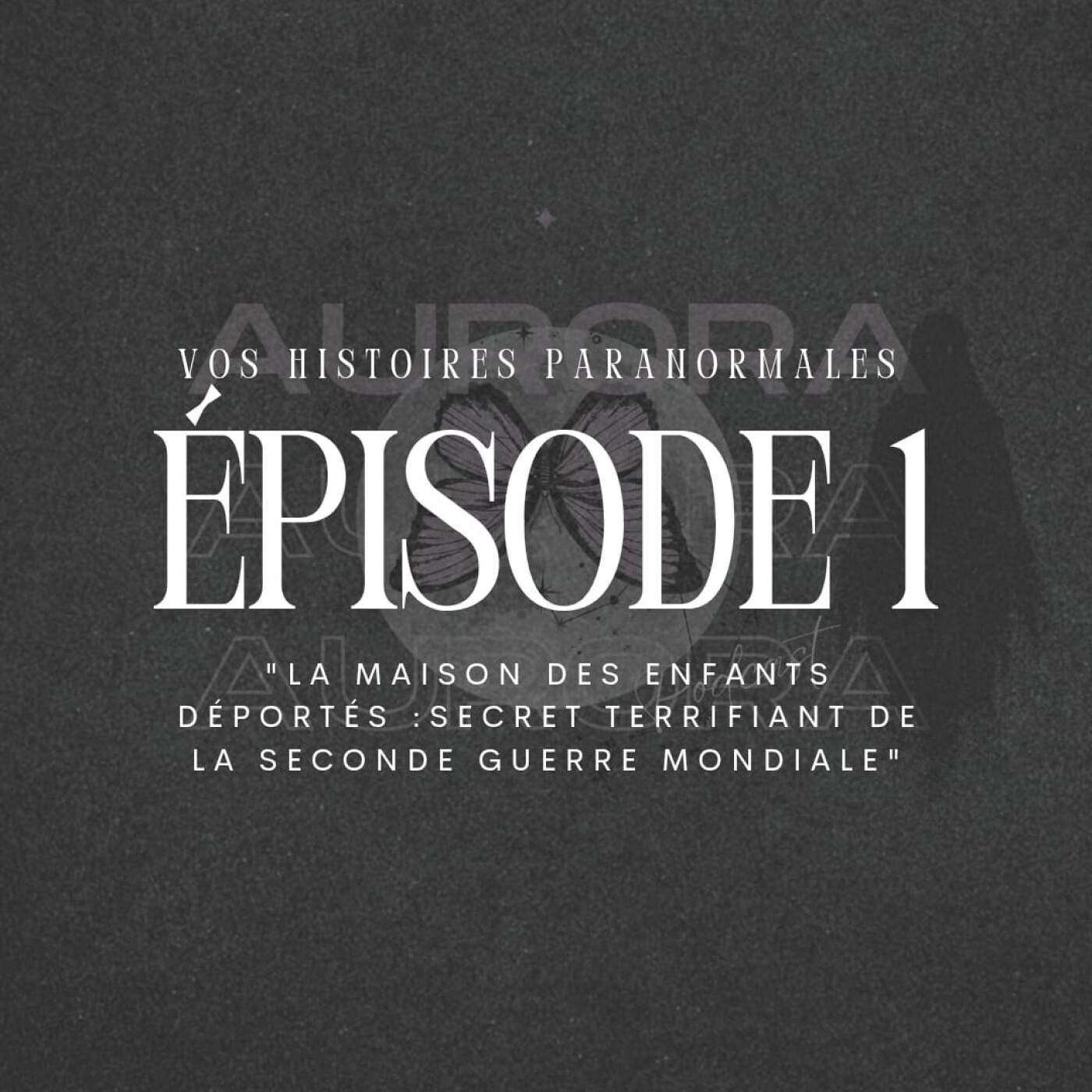 EPISODE 1 : La maison des enfants déportés / secret terrifiant de la Seconde Guerre Mondiale episode artwork
