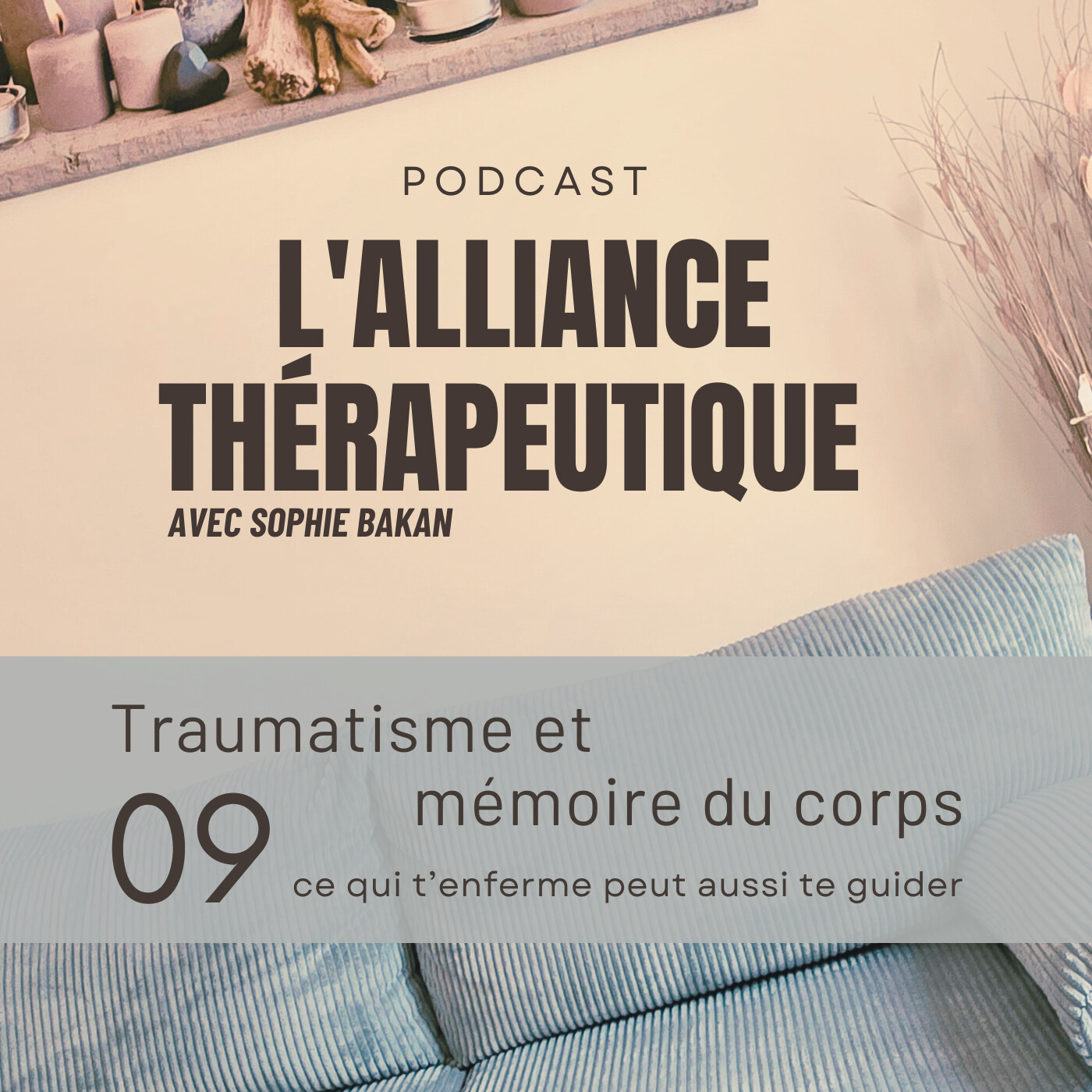 L\'Alliance Thérapeutique