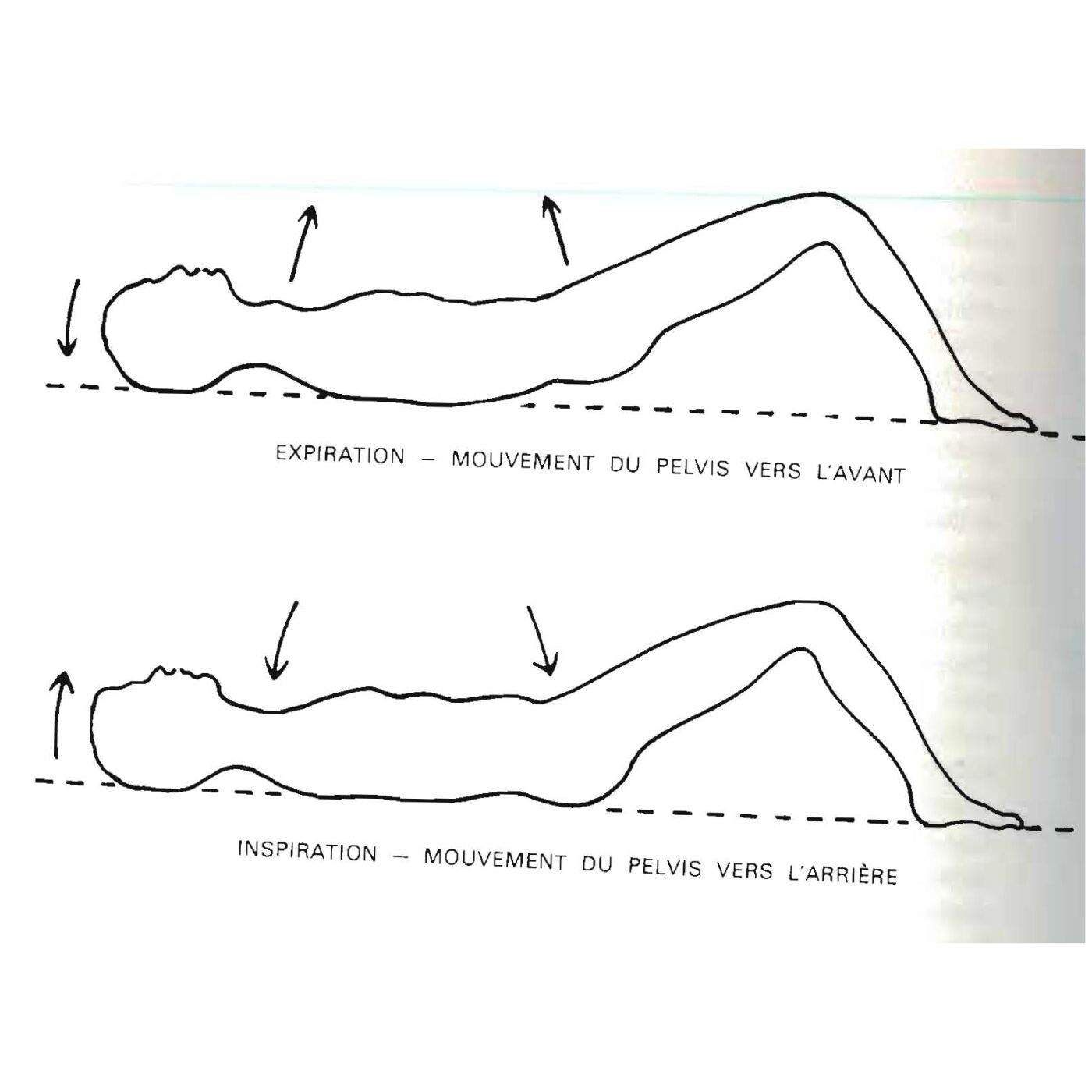 Le BodyMind - A l\'écoute de notre corps