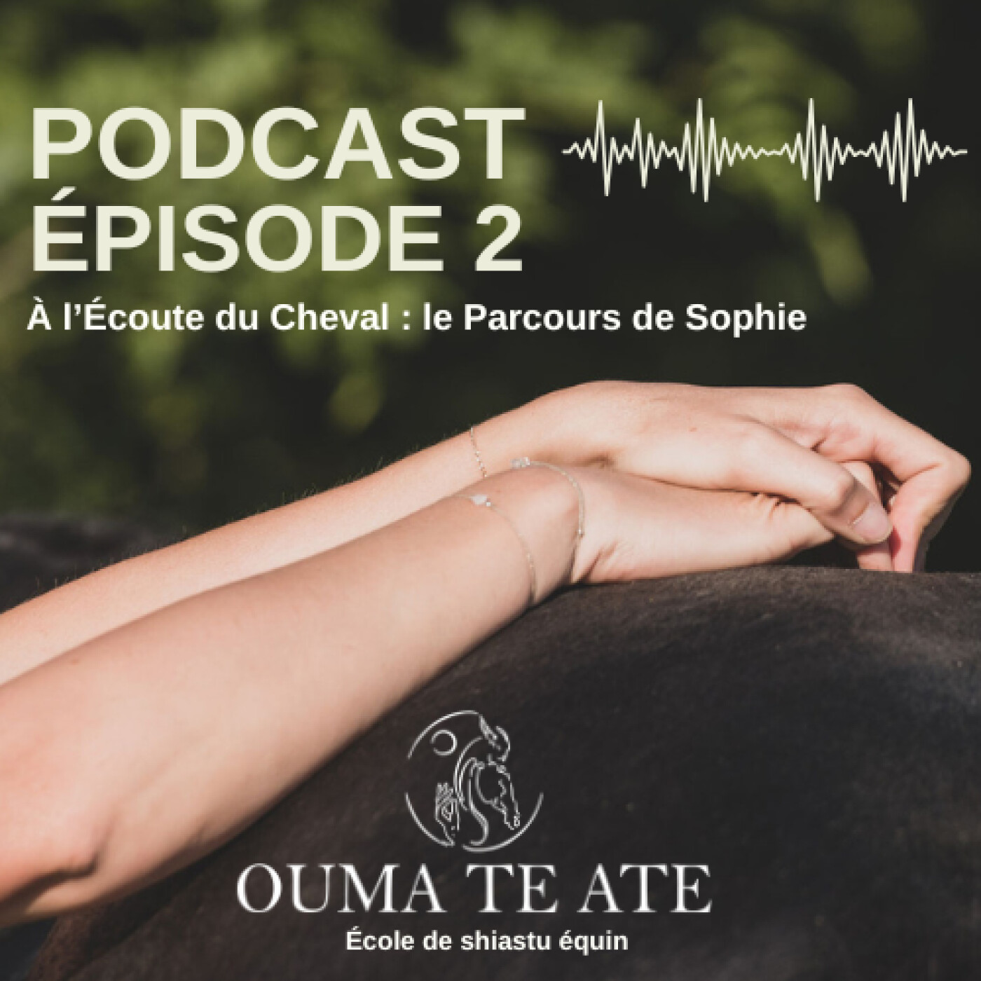 Episode 2 - À l’Écoute du Cheval : le Parcours de Sophie episode artwork