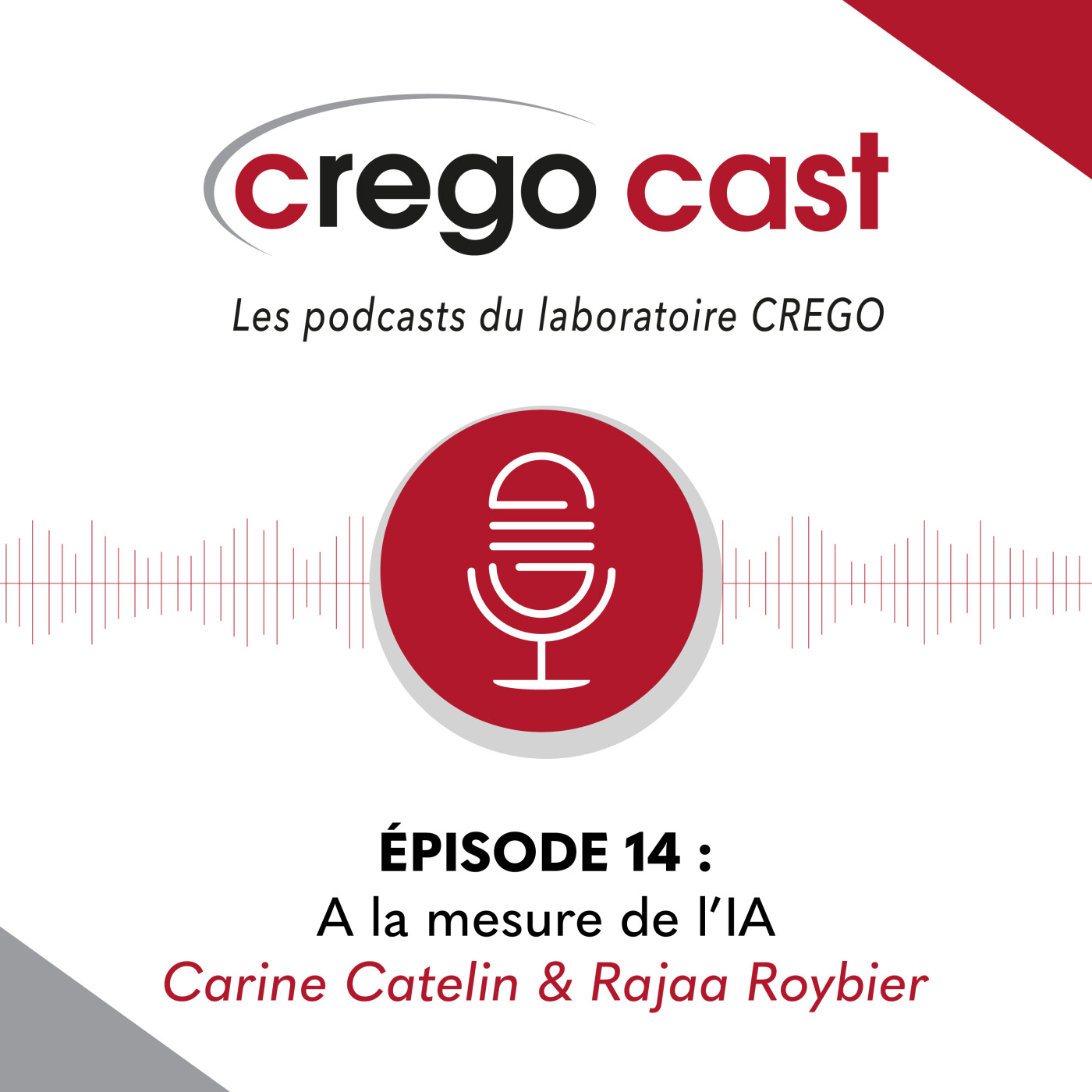 CREGOCAST 14 : "A la mesure de l'IA"