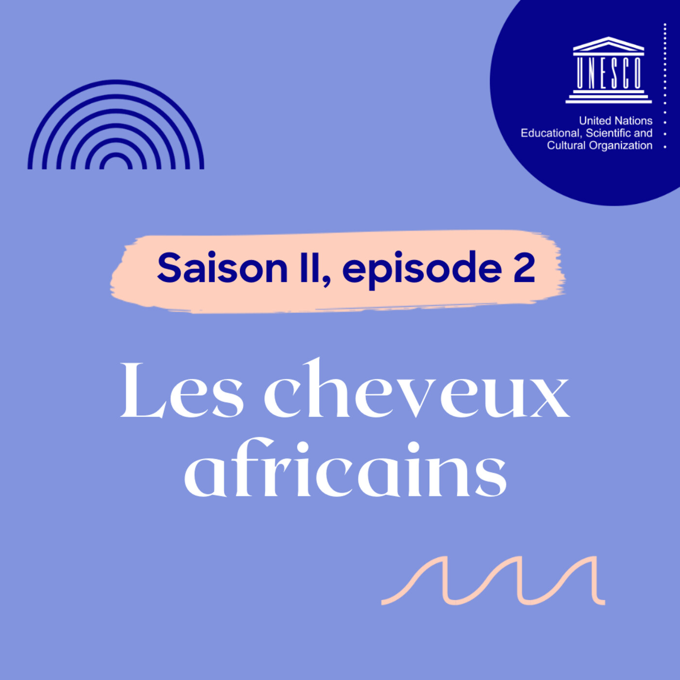 Les cheveux africains