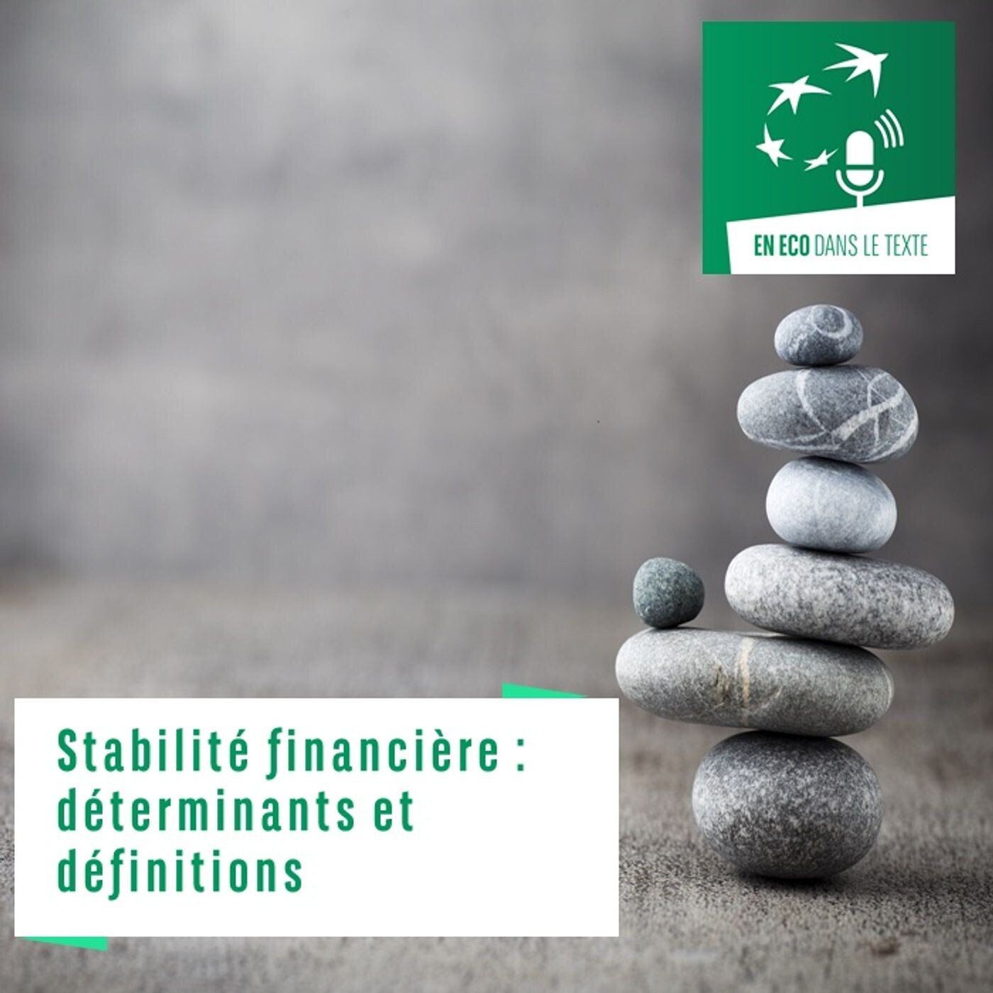 #01 – Stabilité financière : déterminants et définitions episode artwork