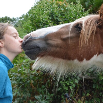 #S2-2025-E22 : Quand les animaux nous accompagnent cover