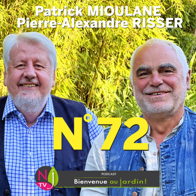 EMISSION #72 du 15 Octobre 2022 - L'INTEGRALE cover