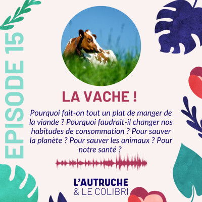 S02E56 Oh la vache ! Recap sur la viande (L'autruche et le colibri) cover