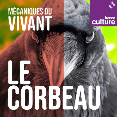 Mécaniques du vivant, saison 3 : Les Corvidés cover