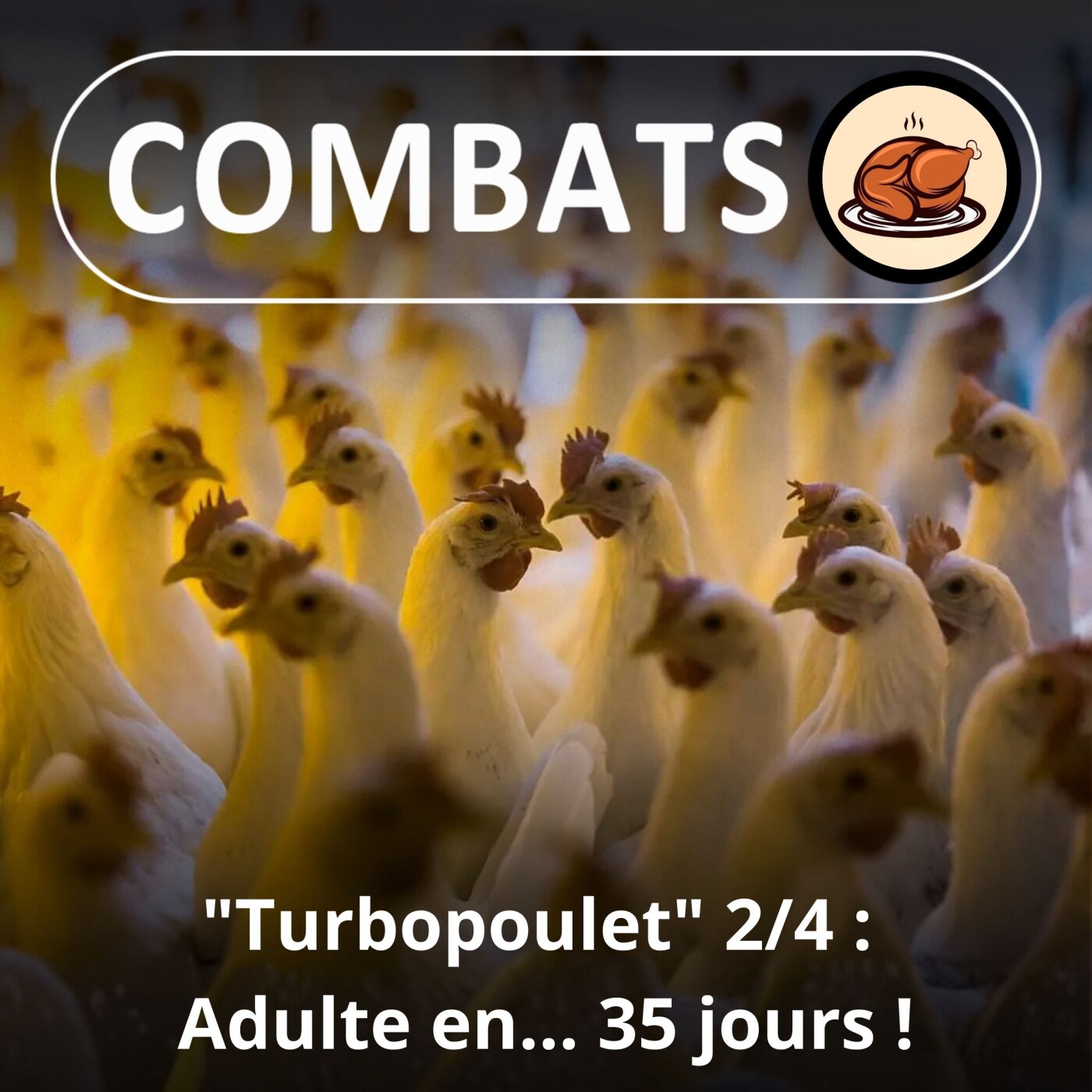 S05E64 Le "Turbopoulet" 2/4 : Adulte en... 35 jours (Axelle Playoust-Braure)