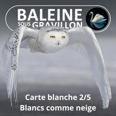 S05Exx Carte blanche 2/5 : Blancs comme neige cover