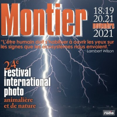 Destination Nature - Le festival de Montier-en-Der cover