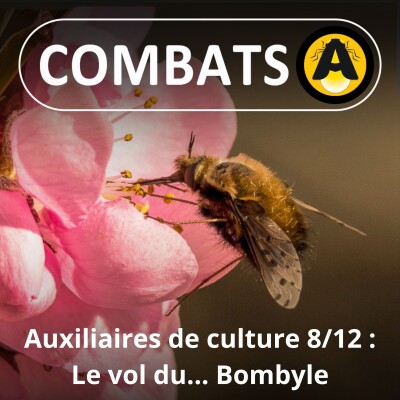 S03E20 Les auxiliaires de culture 8/12 : Le vol du ... Bombyle (Hugues Mouret, entomologiste) cover