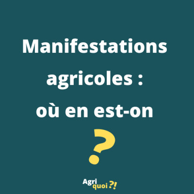 Manifestations agricoles : où en est-on ? cover