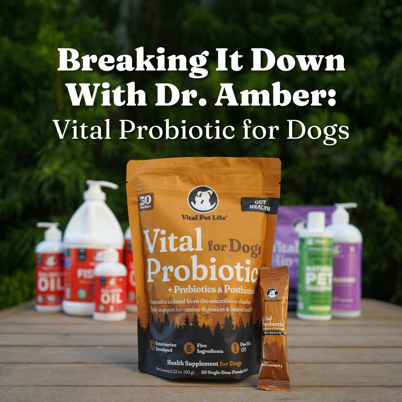Breaking It Down with Dr. Amber: Vital Probiotic for Dogs episode artwork
