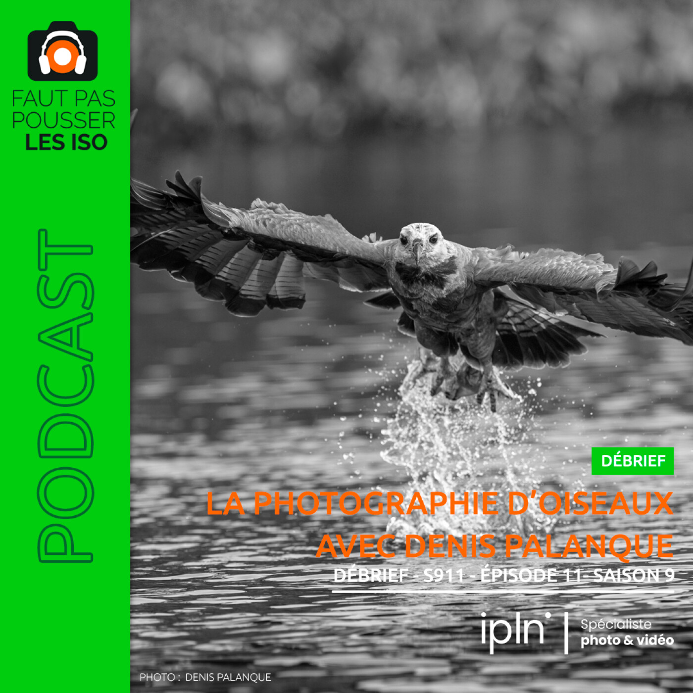 LE DÉBRIEF - S911 - PHOTOGRAPHIER LES OISEAUX