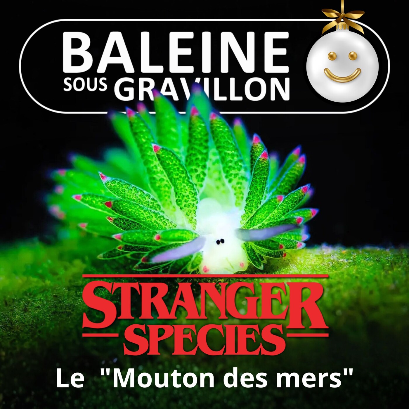 STRANGER SPECIES 10/12 : Un "Mouton de mer"... une star qui fait sa photosythèse !