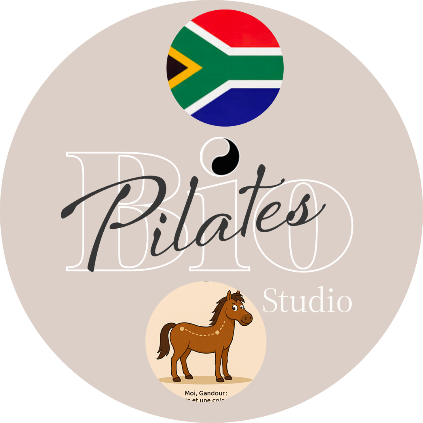 🇿🇦 Bekkenposisionering: Biomeganika en Balans _ Pelvis Placement  Stott Pilates episode artwork