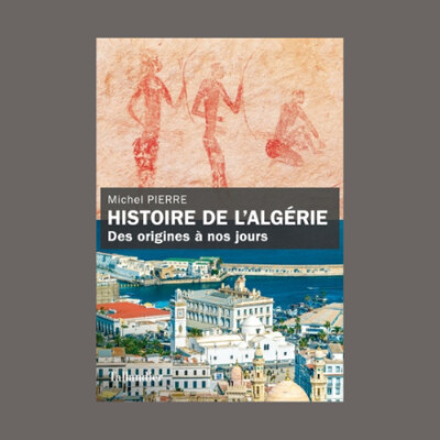 Martin Hirsch - Les solastalgiques cover