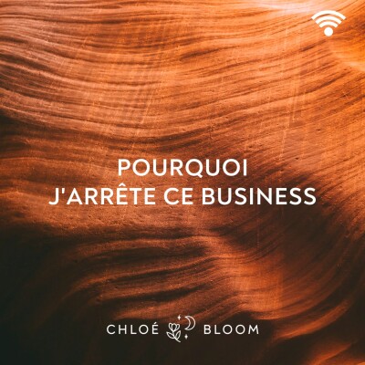 Pourquoi j'arrête ce business cover