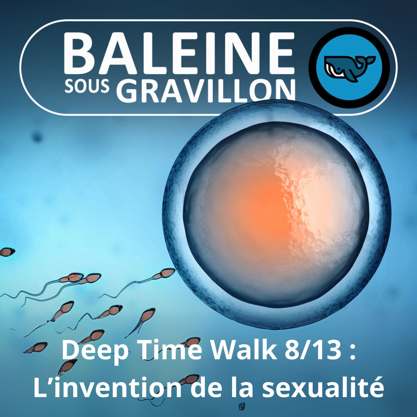 Baleine sous Gravillon
