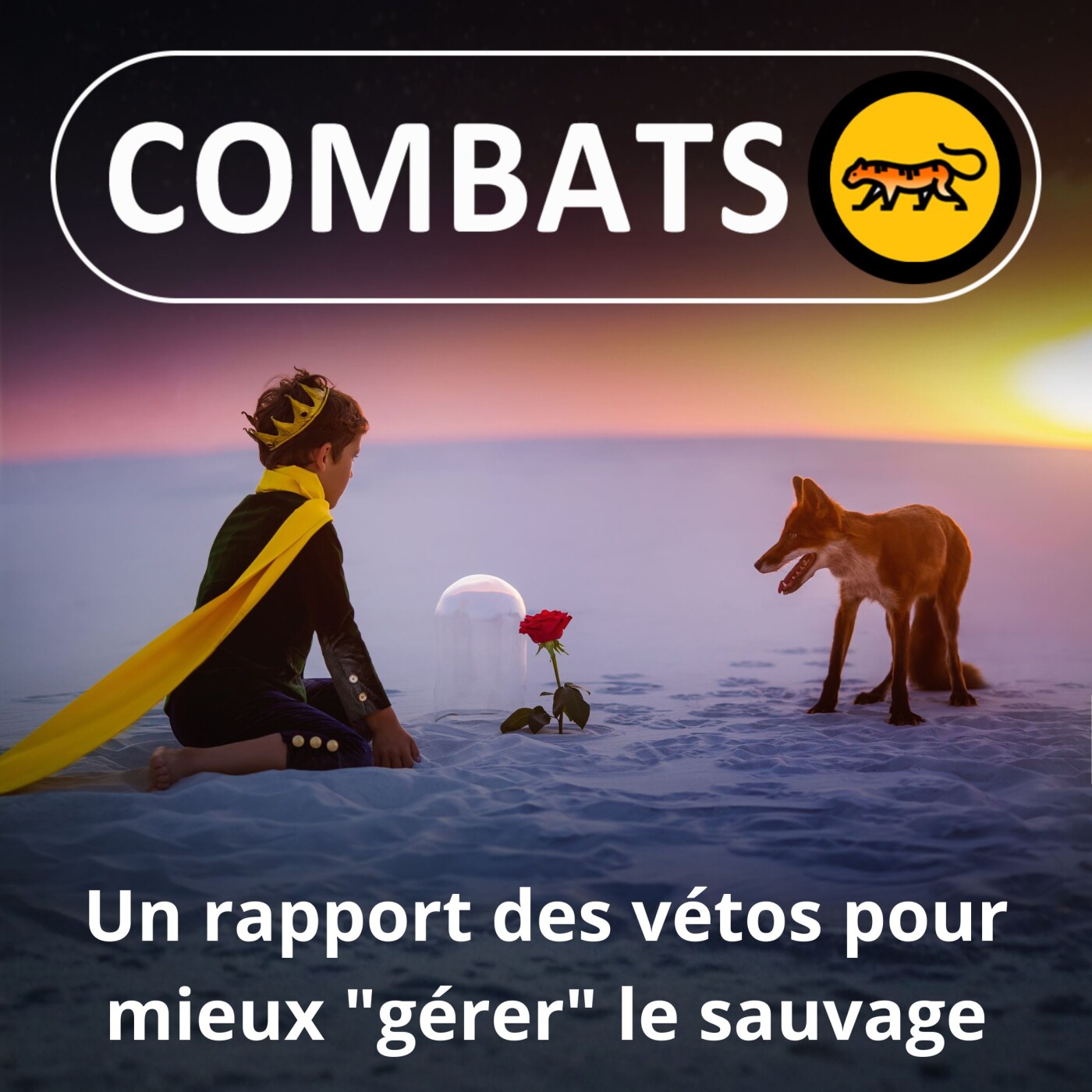 S05E41 Première : Un rapport de l'Académie des vétos sur la "gestion" de la faune sauvage