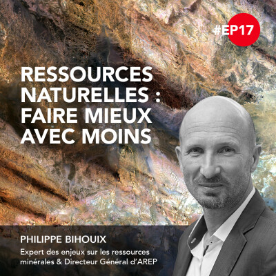17. Ressources naturelles : faire mieux avec moins - Philippe Bihouix cover
