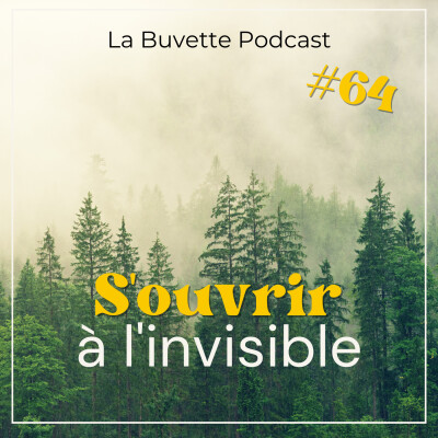 #64 S'ouvrir à l'INVISIBLE & comprendre le monde cover