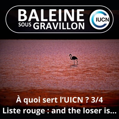 S07E45 C'est quoi l'UICN ? 3/4 : La liste rouge à la loupe, "and the loser is..." (Maud Lelièvre) cover
