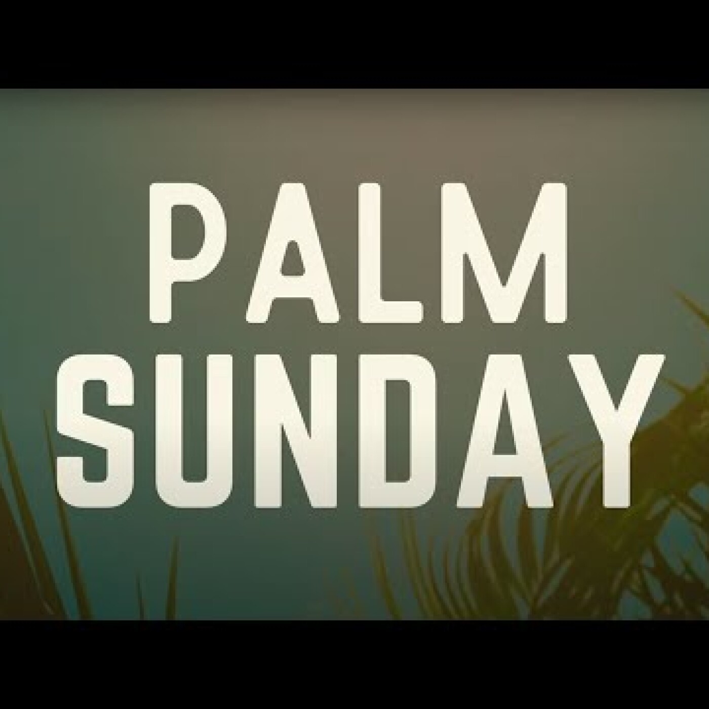 Palm Sunday 2024