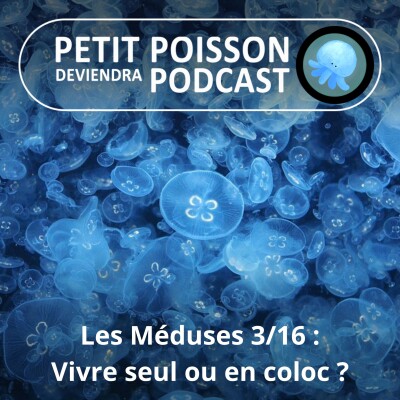 S04E03 Méduses 3/16 : Vivre seul ou (très) accompagné cover
