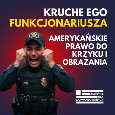 Mit "opłaconych demonstrantów". Kogo powinna chronić policja w USA? cover